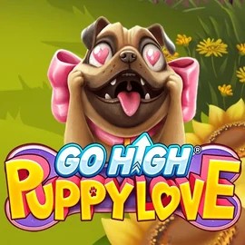 Try Go High Puppy Love slot by RubyPlay on spinsteinscasino.com – logo image